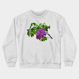 Lilacs Just Opening Crewneck Sweatshirt